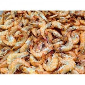 langostino 2