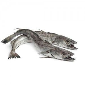 merluza