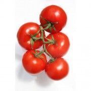 tomate cherry 2