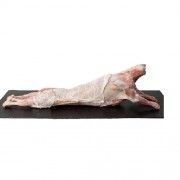 cabrito