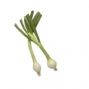 cebolletas