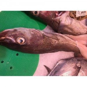 bacalao con cabeza