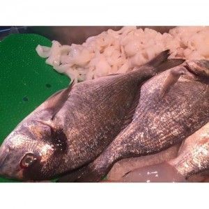 dorada