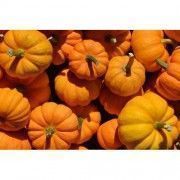 calabaza
