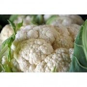 coliflor