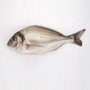 dorada