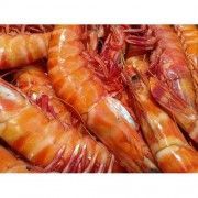 Langostino