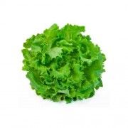 Lechuga batavía