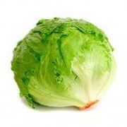 lechuga iceberg