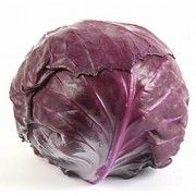 lombarda