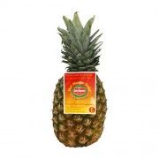 piña del monte