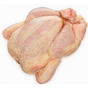 pollo