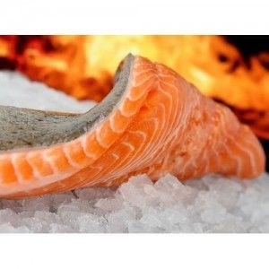 Salmon