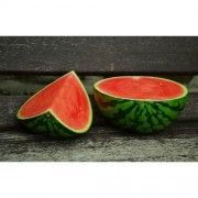 sandia